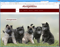 ABIOGENESIS - Zucht & Fotografie "www.abiogenesis.de"